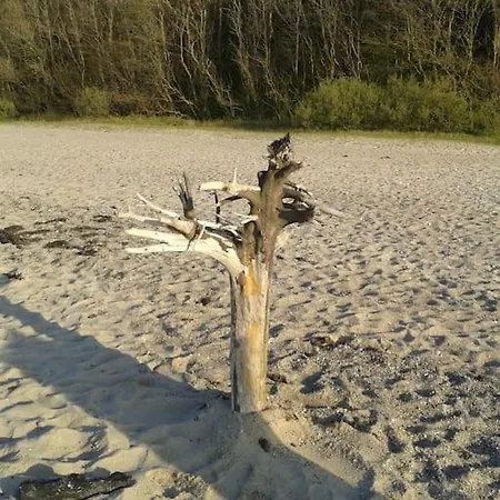 & Garten * Surendorf