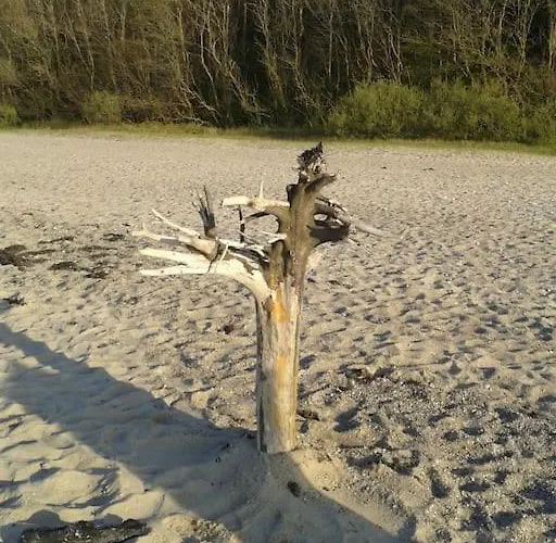 & Garten * Surendorf