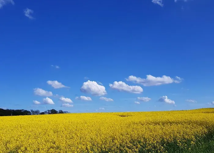 & Garten Guest house *