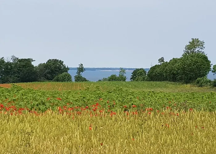 Guest house & Garten Surendorf